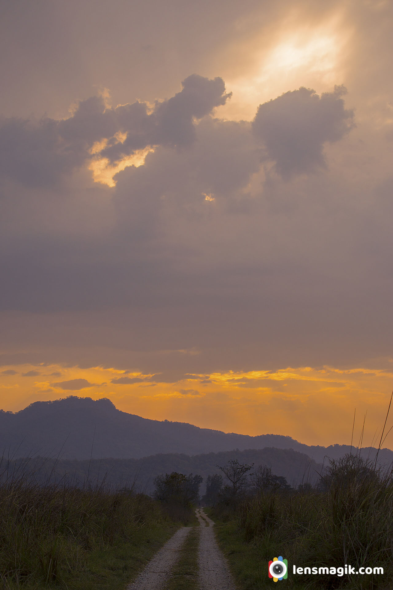 Tiger Sanctuary Landscape India