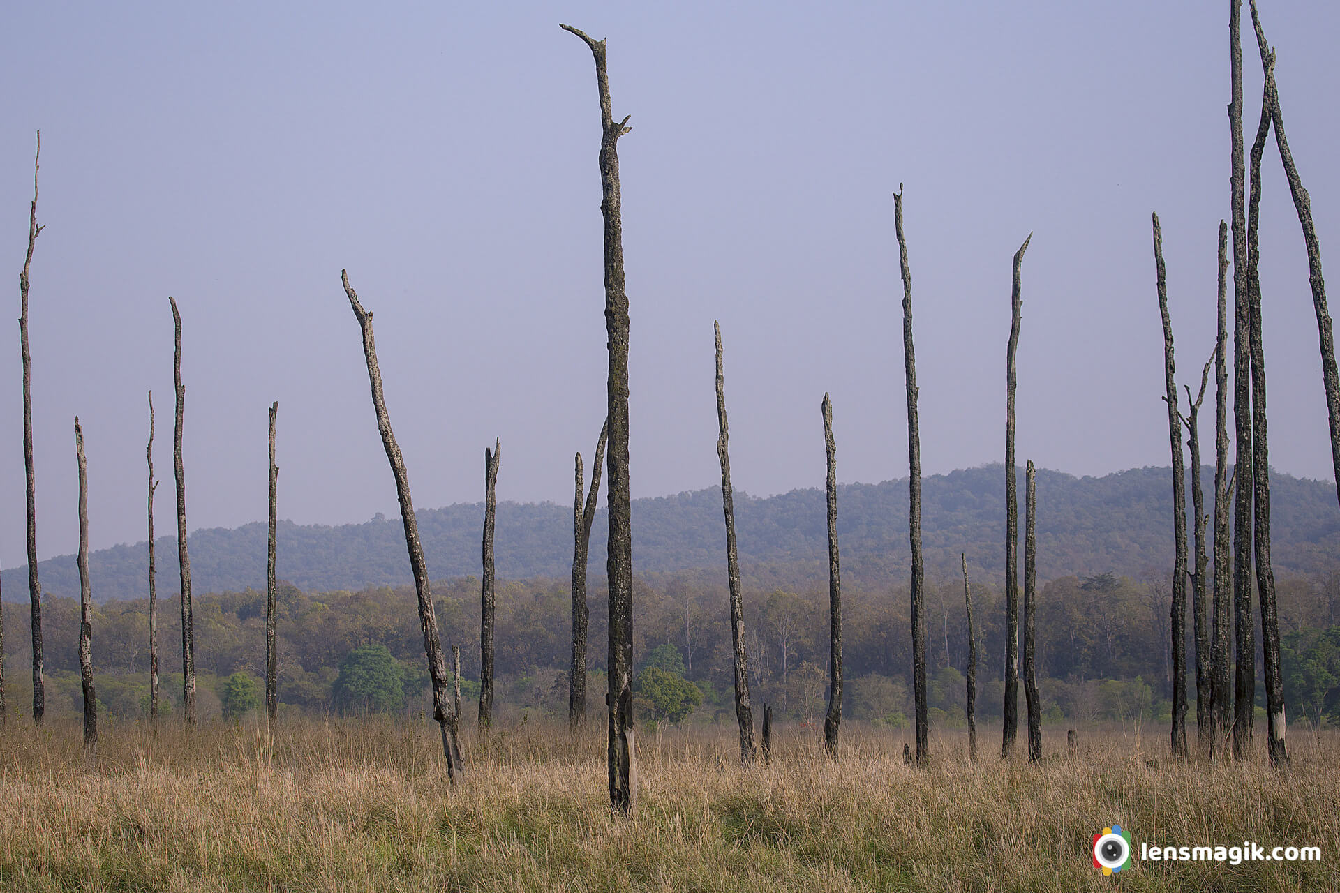 00002_Corbett Park Dhikala