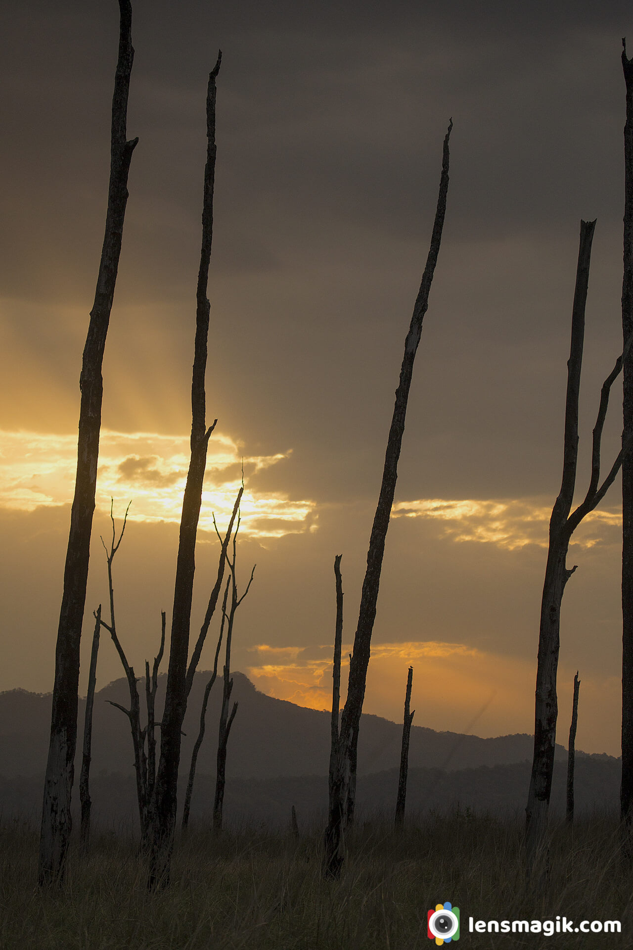 Landscape with golden light