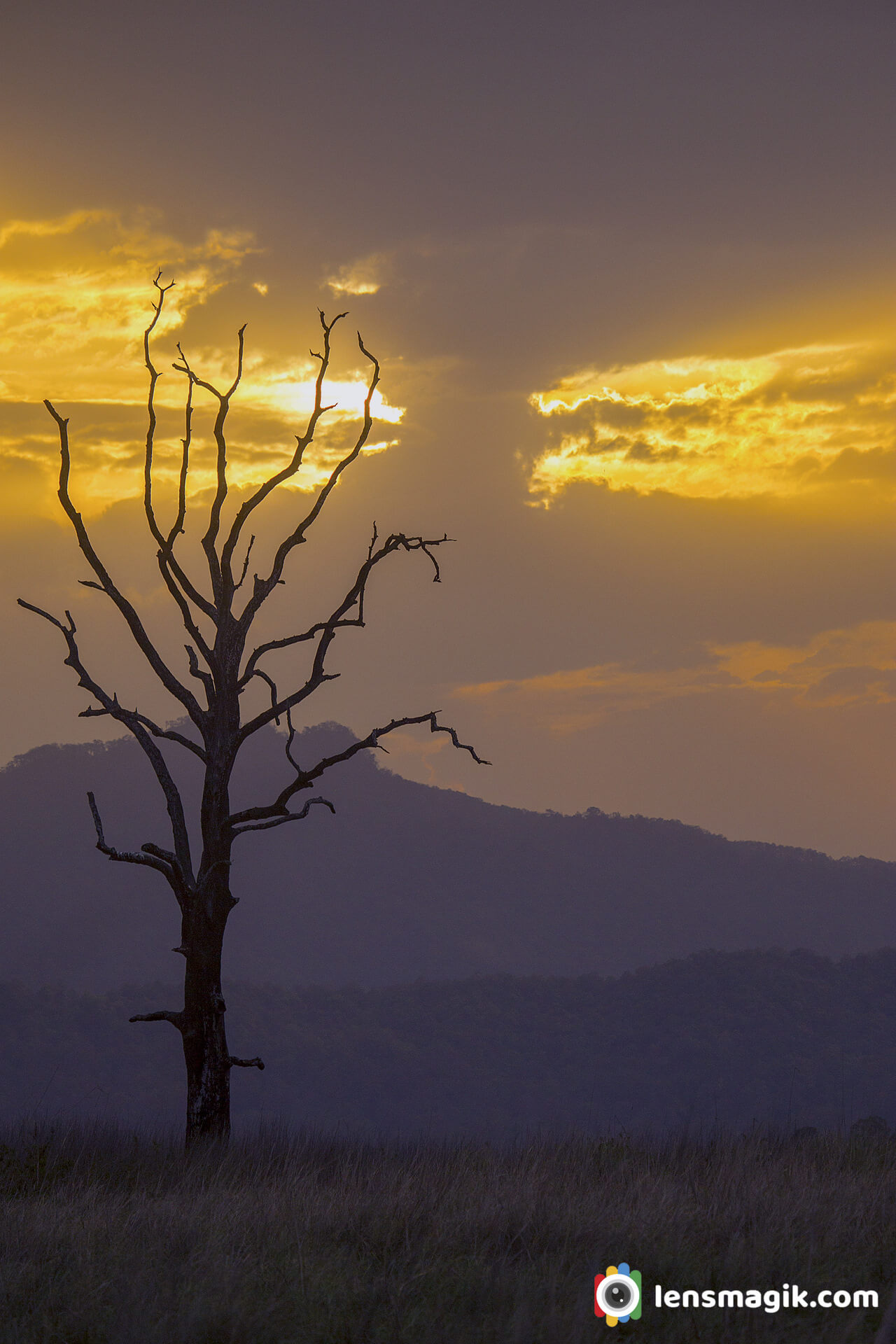 Corbett National Park Uttarakhand