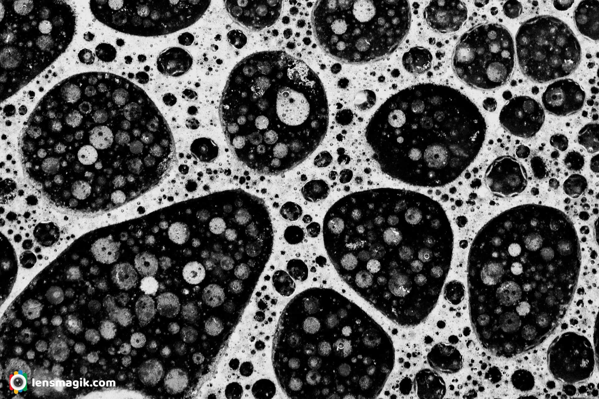 Bubbles Macro Black And White