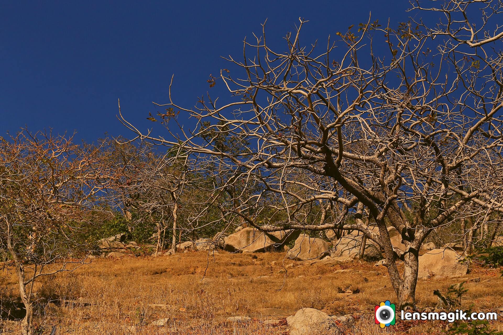 Jessore trekking