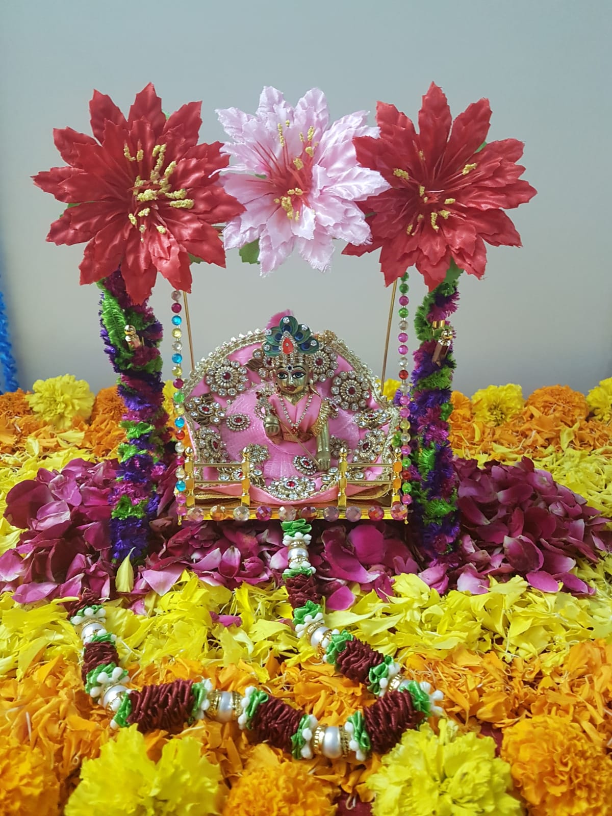 Janmashtami Celebration