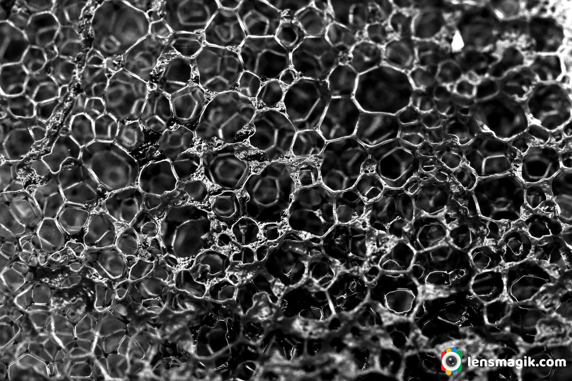 Abstract Macro Black And White