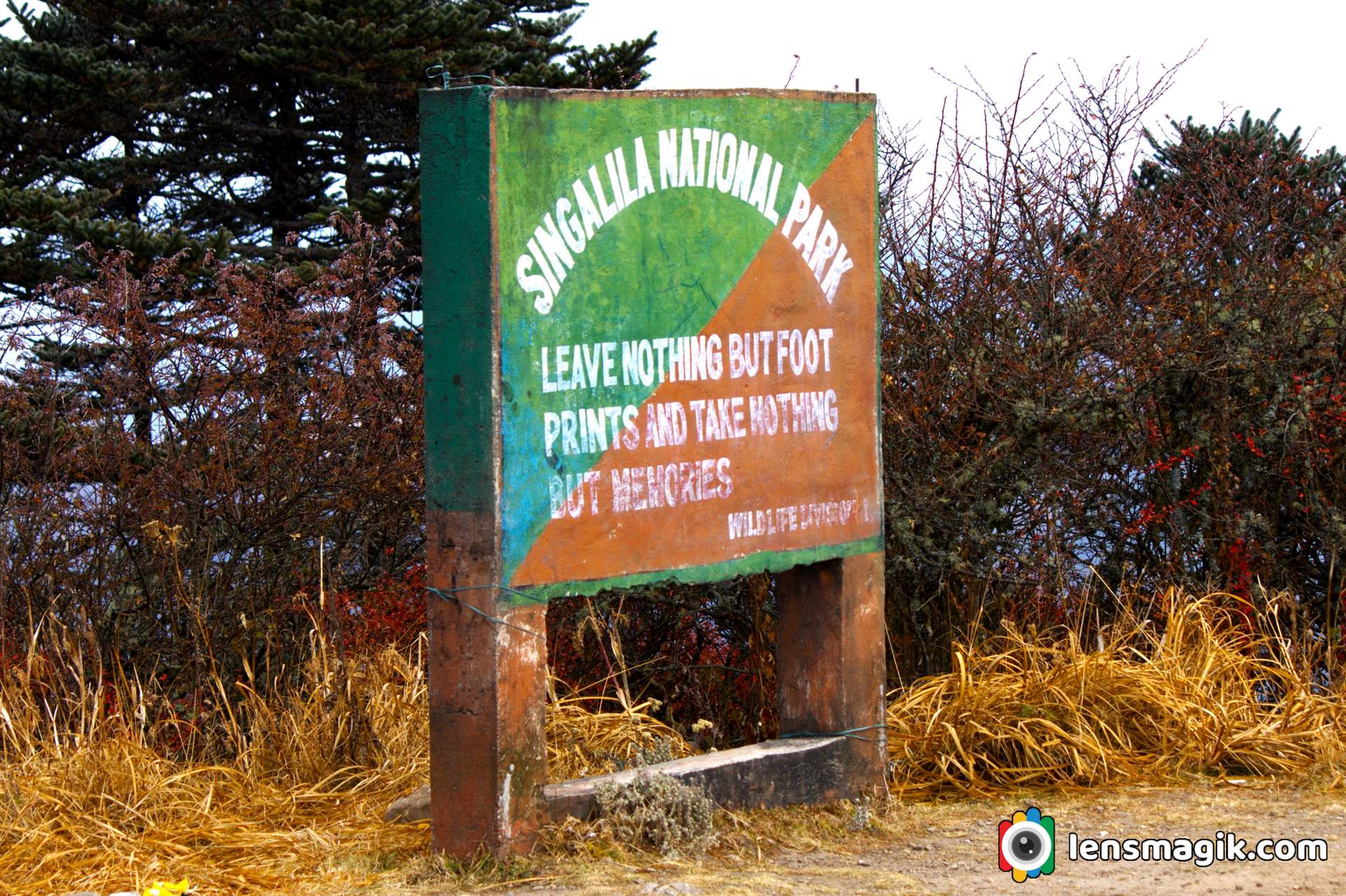 Trek to Sandakphu