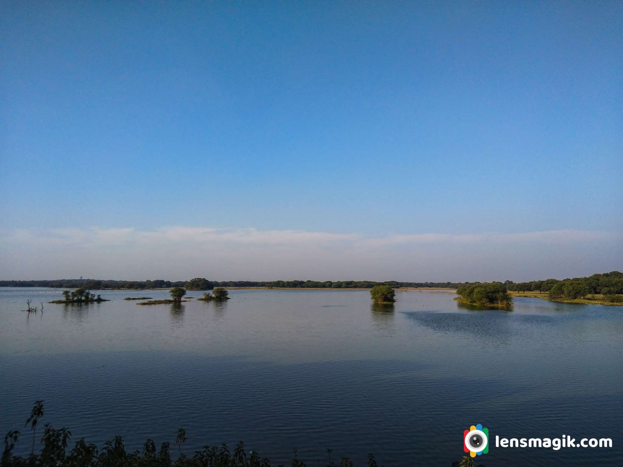 Bird sanctuary Gujarat