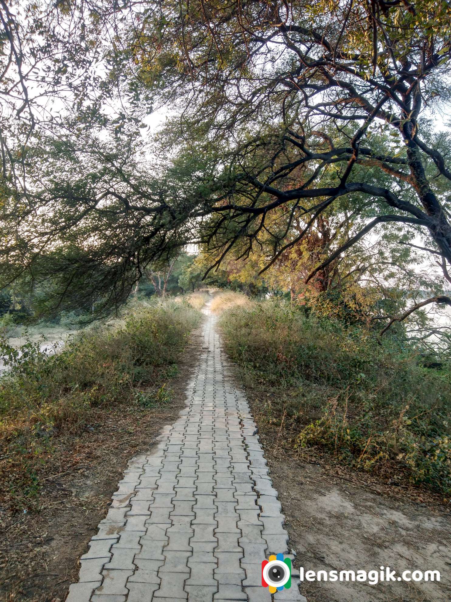 Walking path thol lake