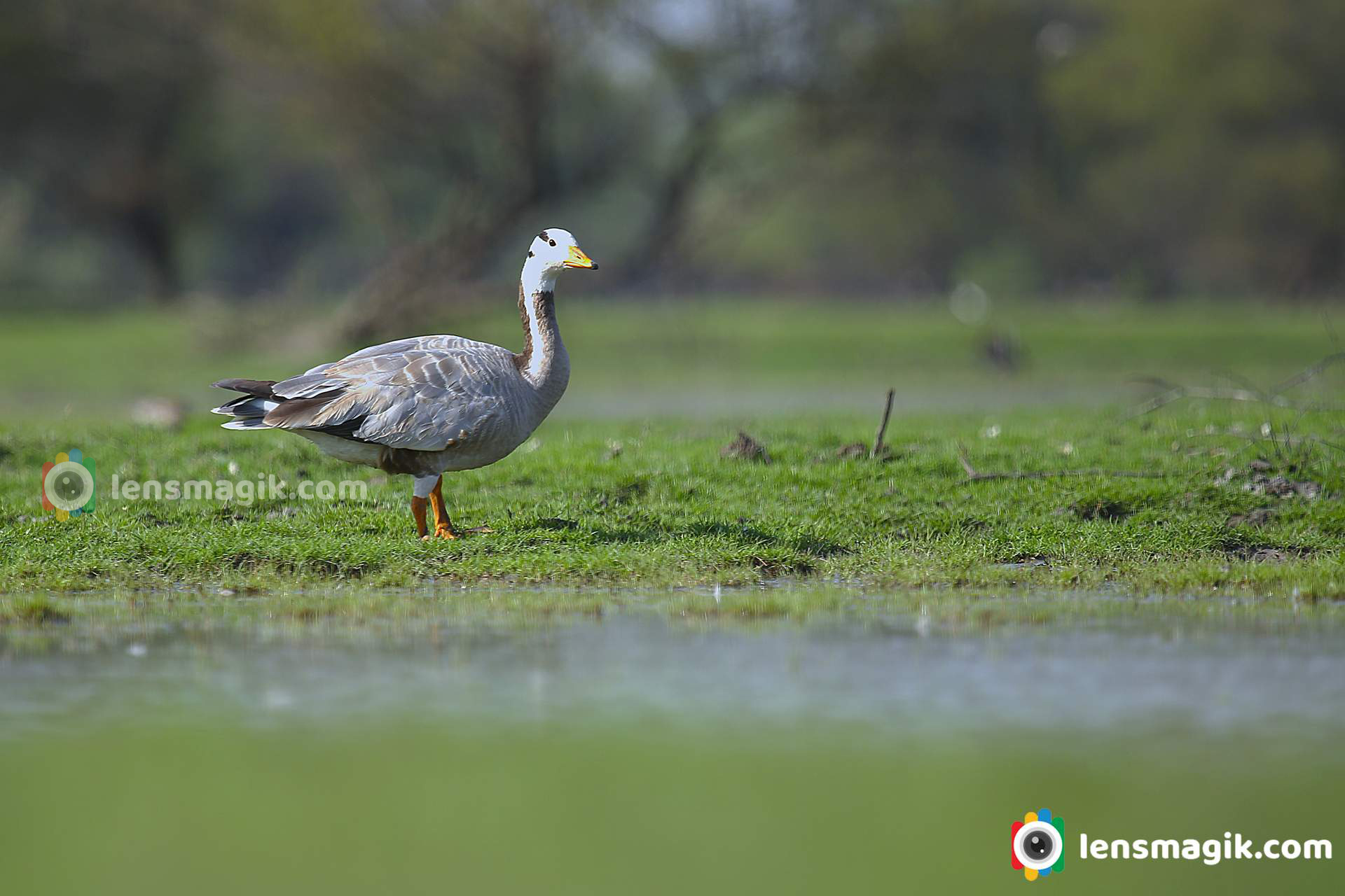 bird sanctuary gujarat