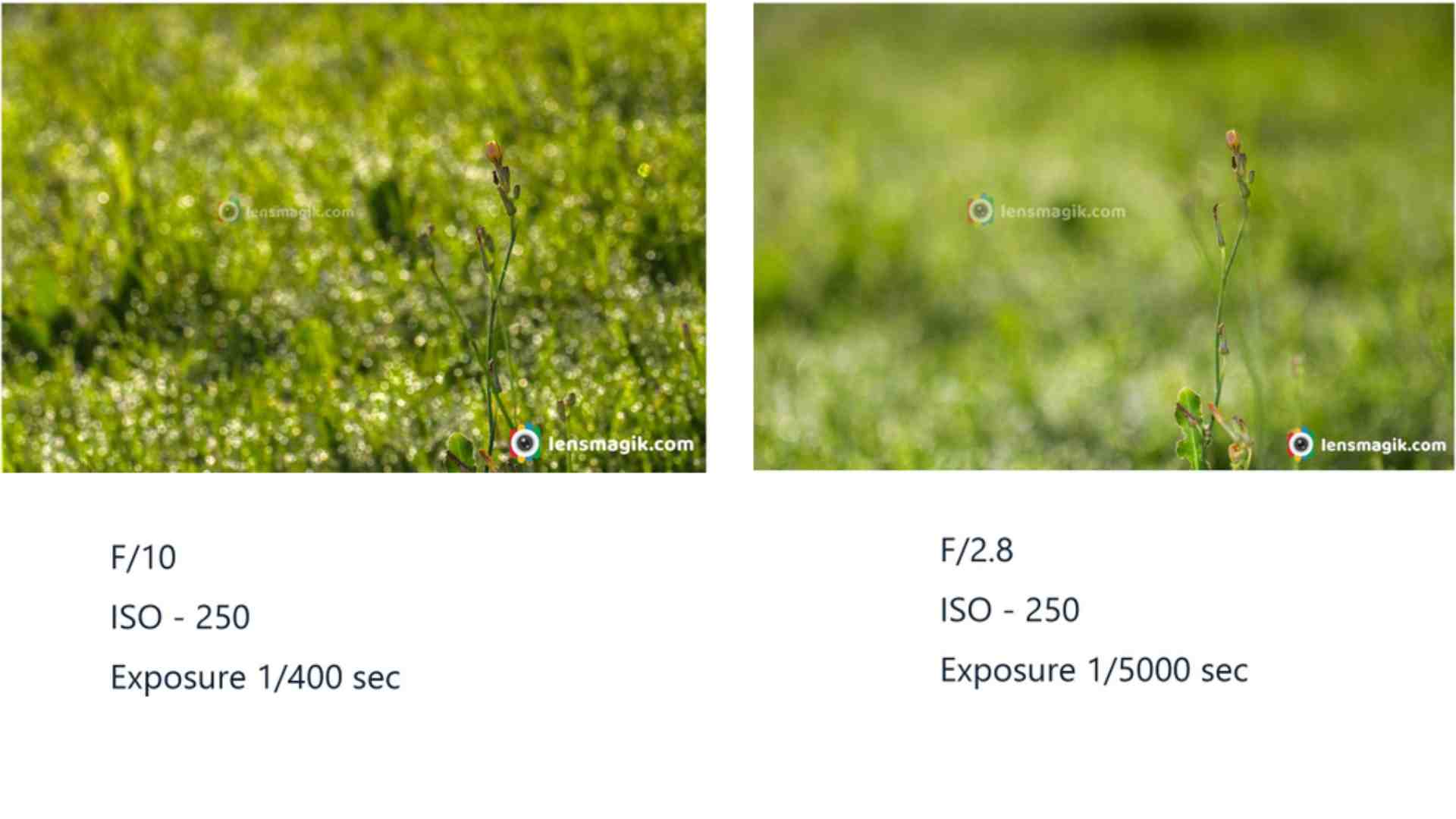 F Stop In Photography _ Understanding Aperture in Lens | Lensmagik.com